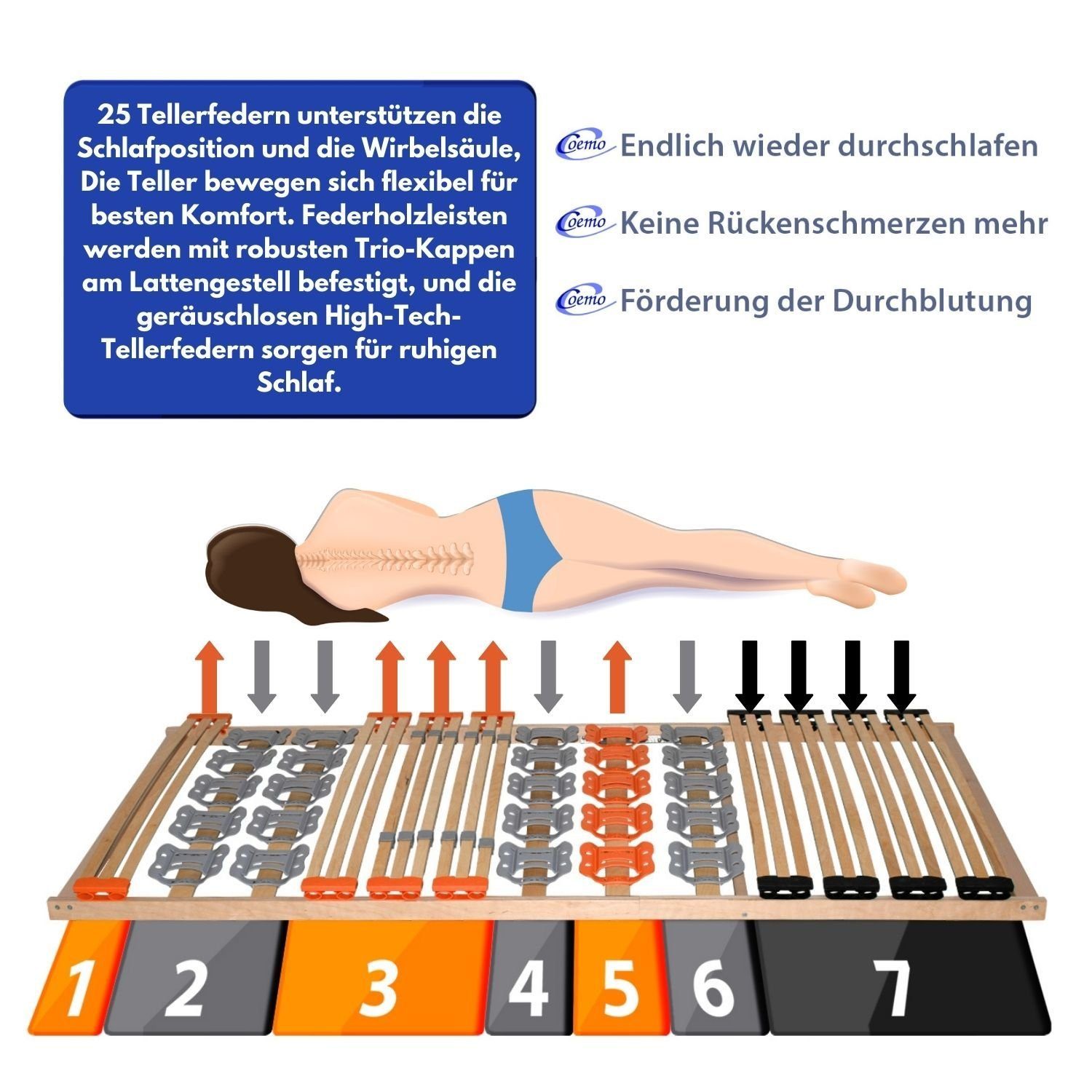 Teiltellerlattenrost, Coemo, Kopfteil nicht verstellbar, Fußteil nicht verstellbar, KombiFlex S 90 x 200 cm Tellerlattenrost preisgünstige Selbstmontage