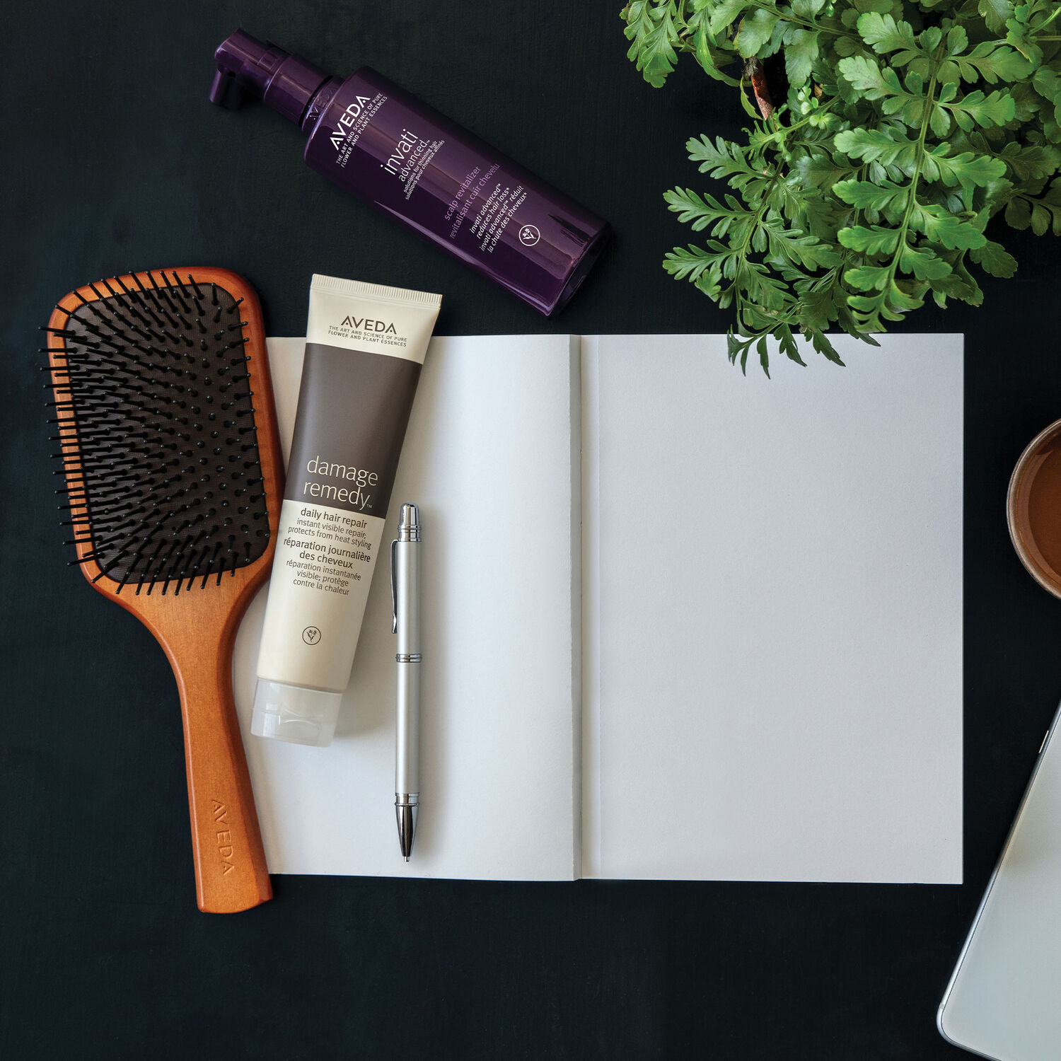 Aveda PADDLE Brosse plate professionnelle 1