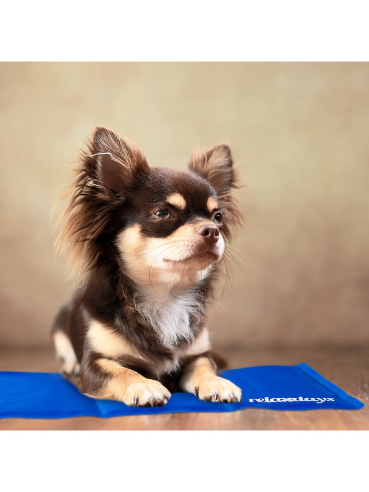 relaxdays Kühlmatte Hund in Blau - (B)20 x (T)35 cm günstig kaufen onesize
