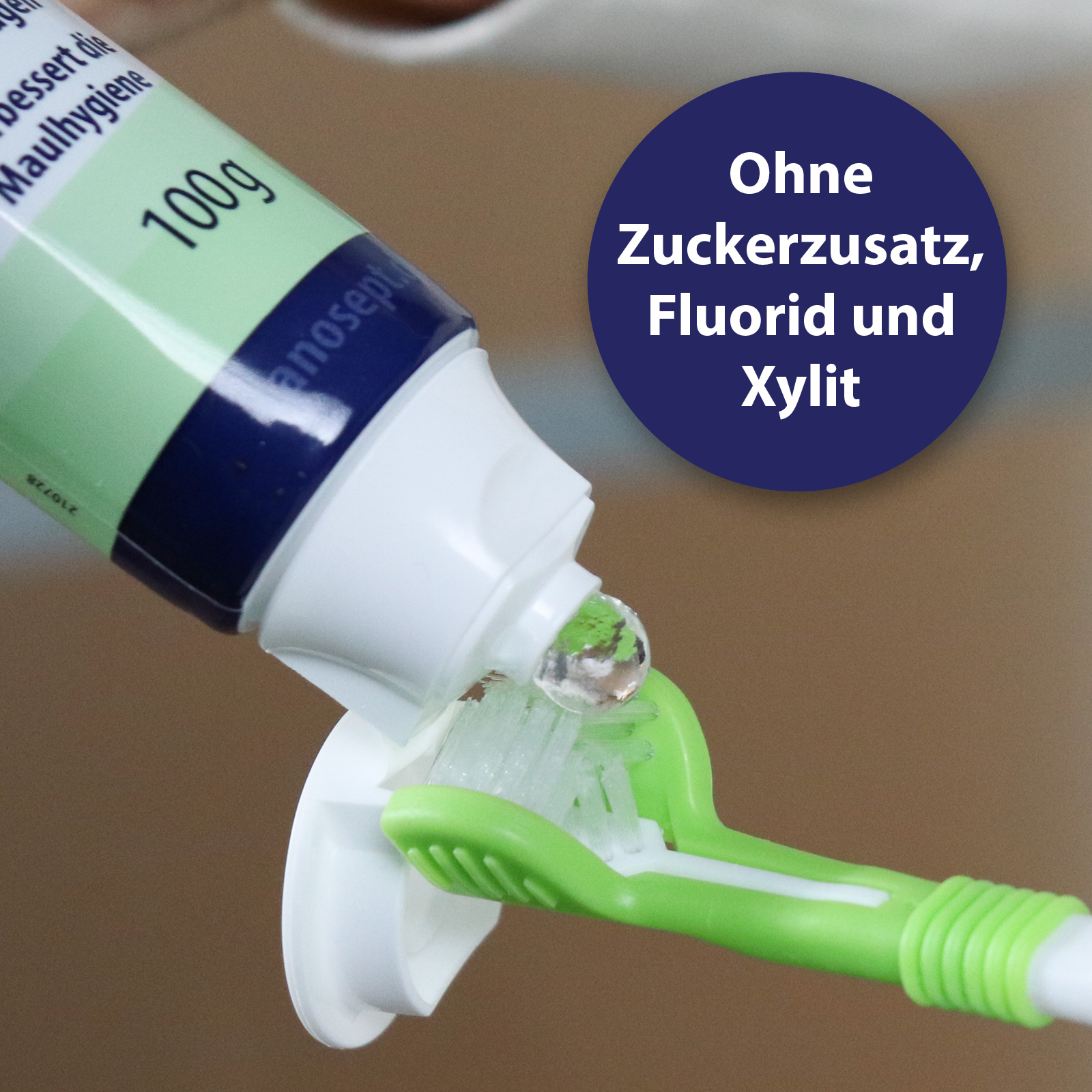 Canosept Zahnpflege Canosept Zahnpflege Dental Gel 100g