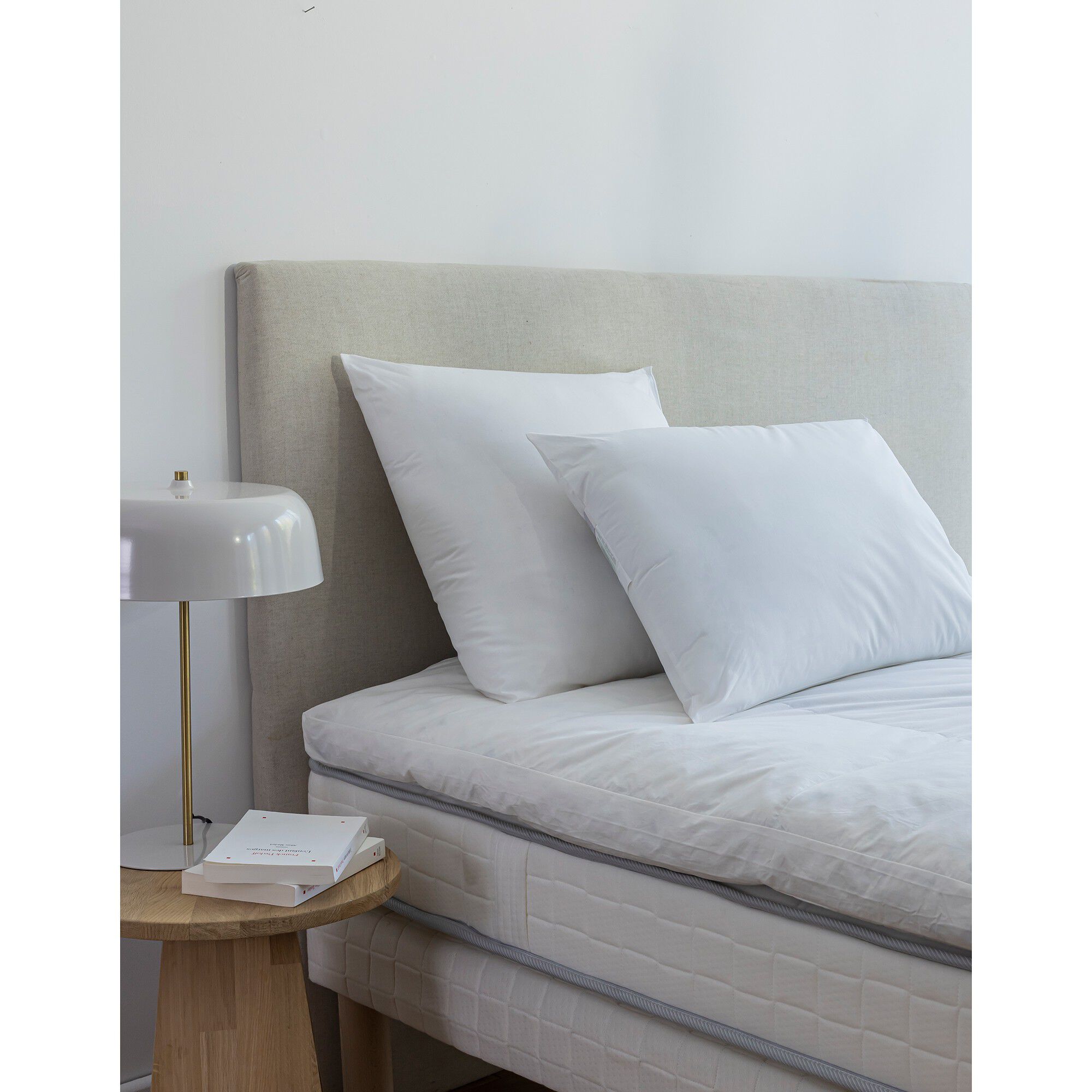 Oreiller anti-acariens Proneem moelleux