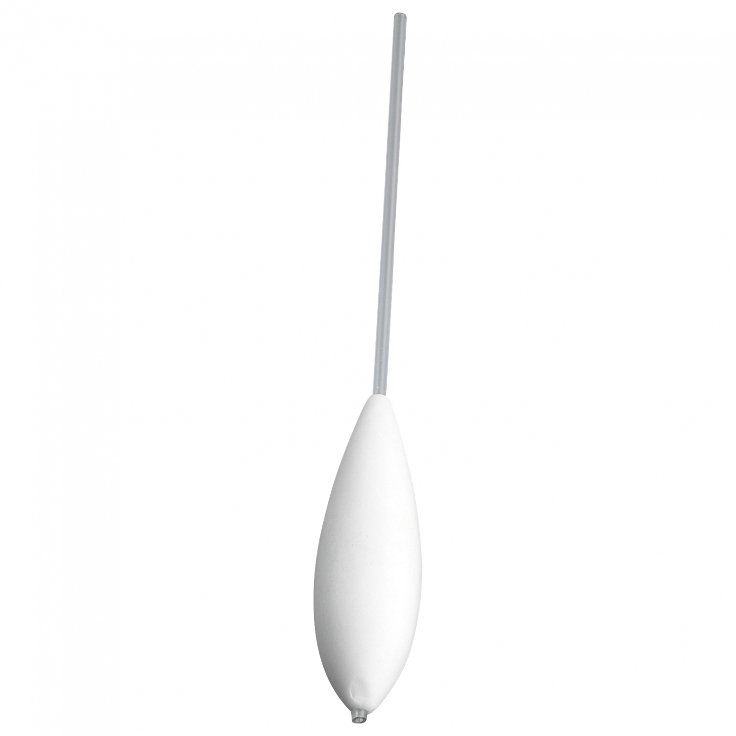 Perca Trout Sbirolino (schwimmend)