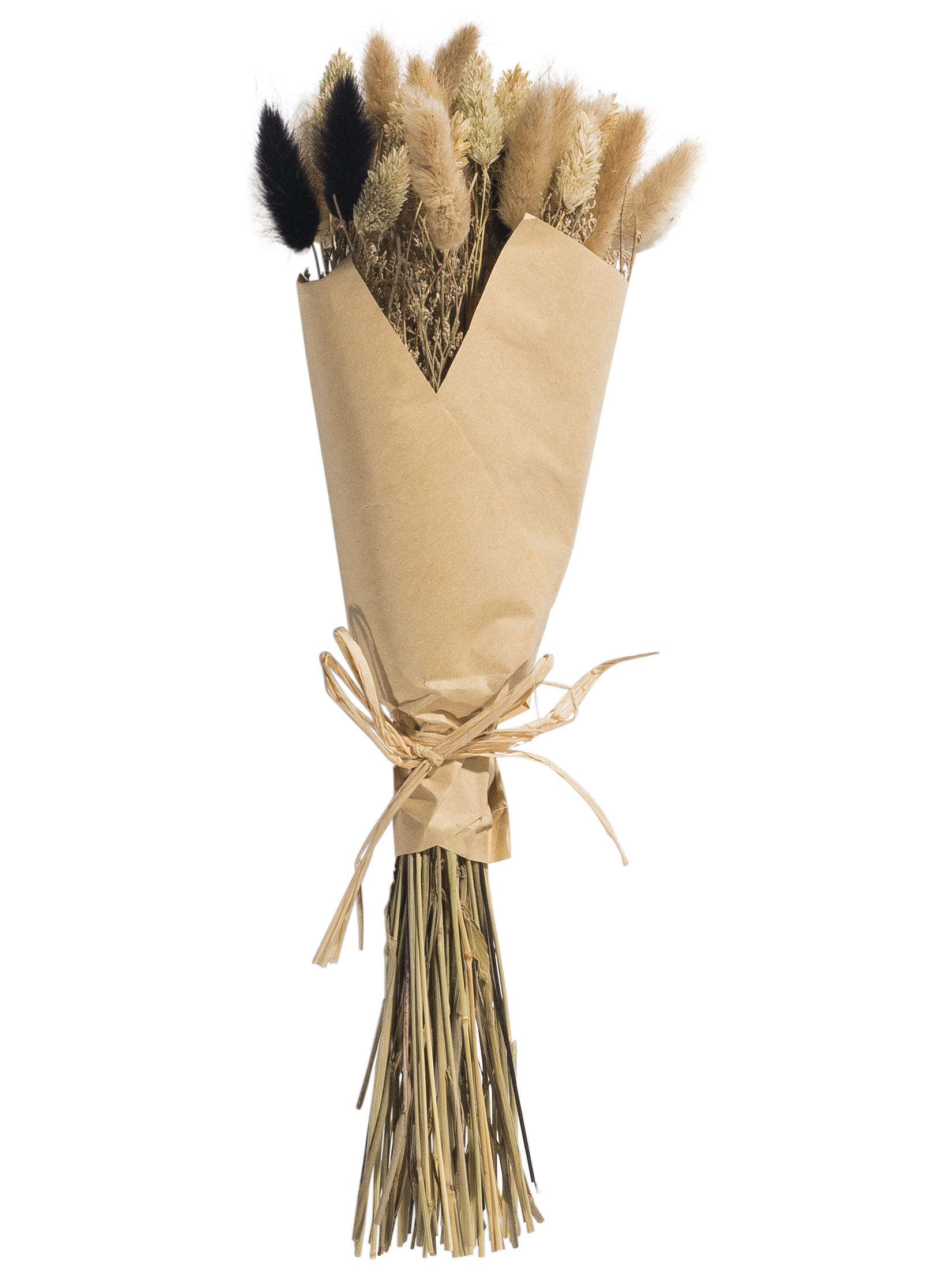 Flowerbouquet Trockenblume, Natural
