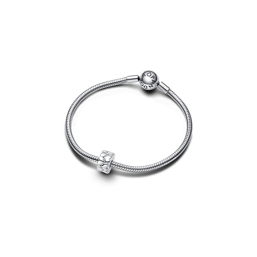 Pandora Charm Moments
