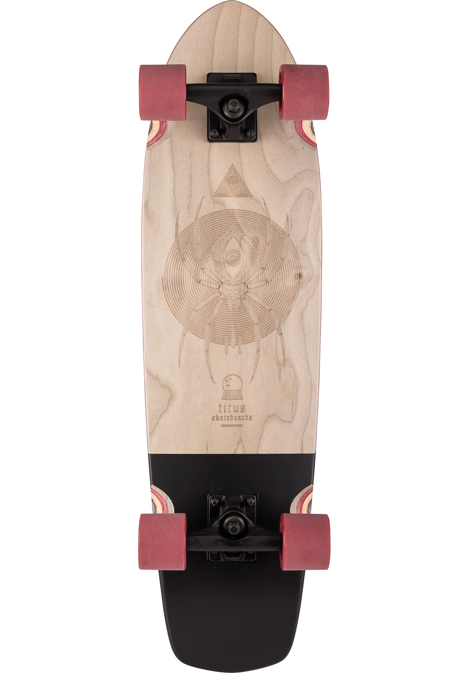 Spider Spiral Cruiser TM