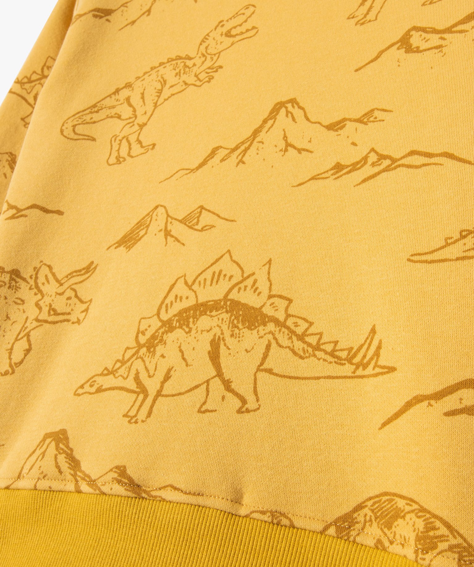 Sweat molletonné avec motifs dinosaures Garçon imprime | GEMO