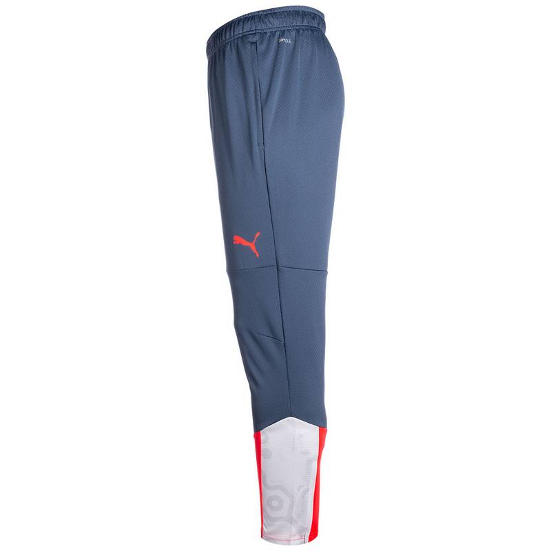PUMA IndividualCUP Trainingshose Herren
