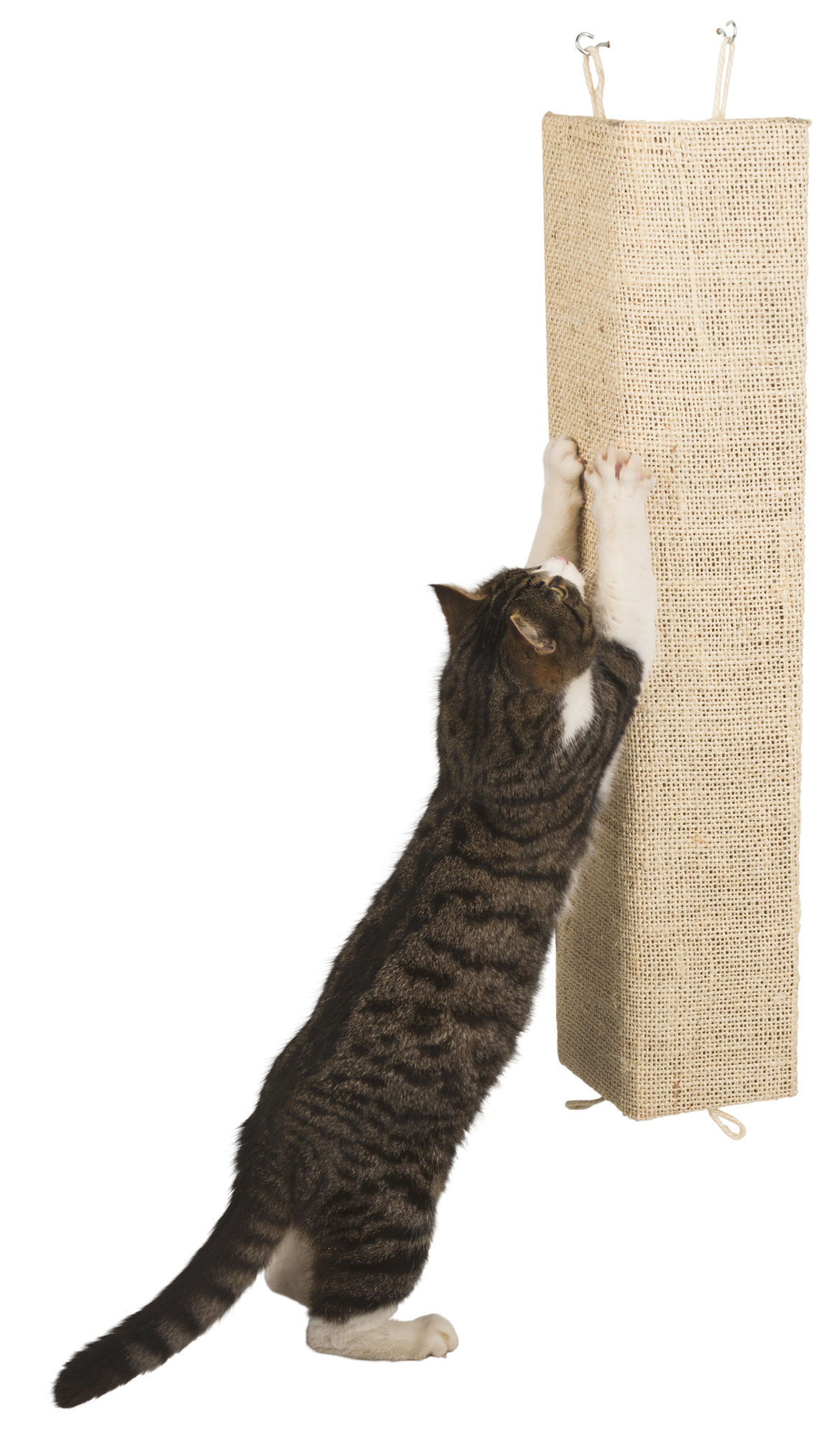 Kerbl Kratzbretter & Kratzpappen Kerbl Pet Kratzbrett Kevin, Beige, 100x56 cm