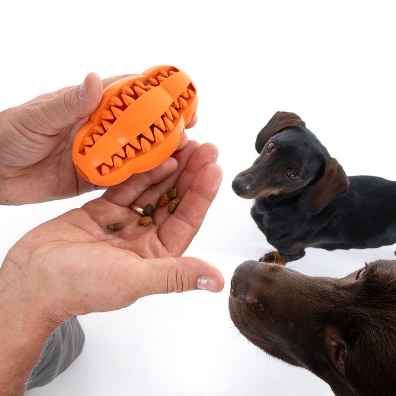 TIAKI Hundespielzeug Rugby Treat zu TOP-Preisen