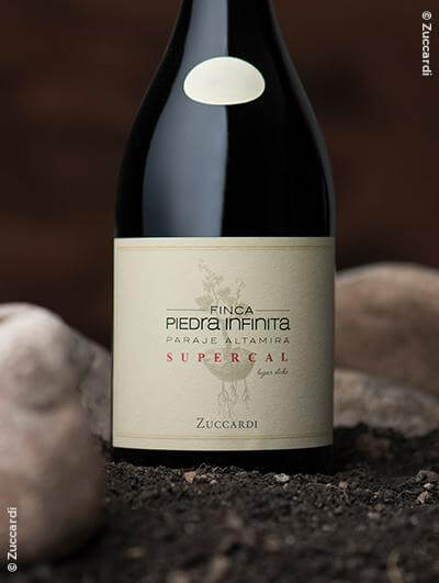 Zuccardi : Finca Piedra Infinita 