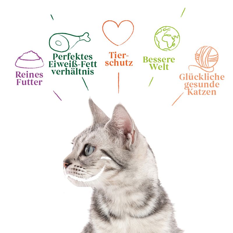 Sparpaket Yarrah Bio Chunks 24 x 405 g zu TOP-Preisen | bitiba %
