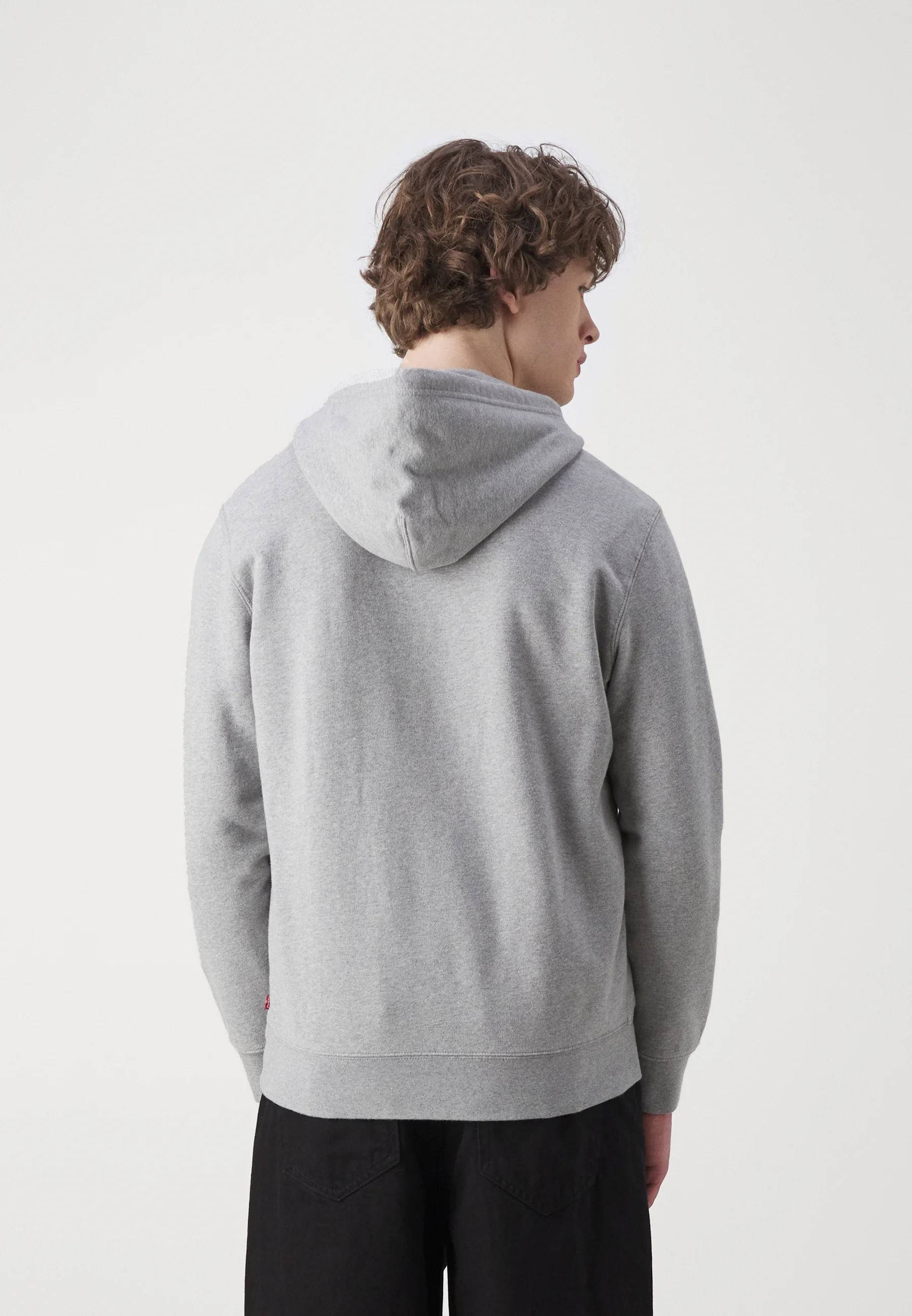 Sudadera con capucha Levi's® STANDARD GRAPHIC - Sudadera con capucha