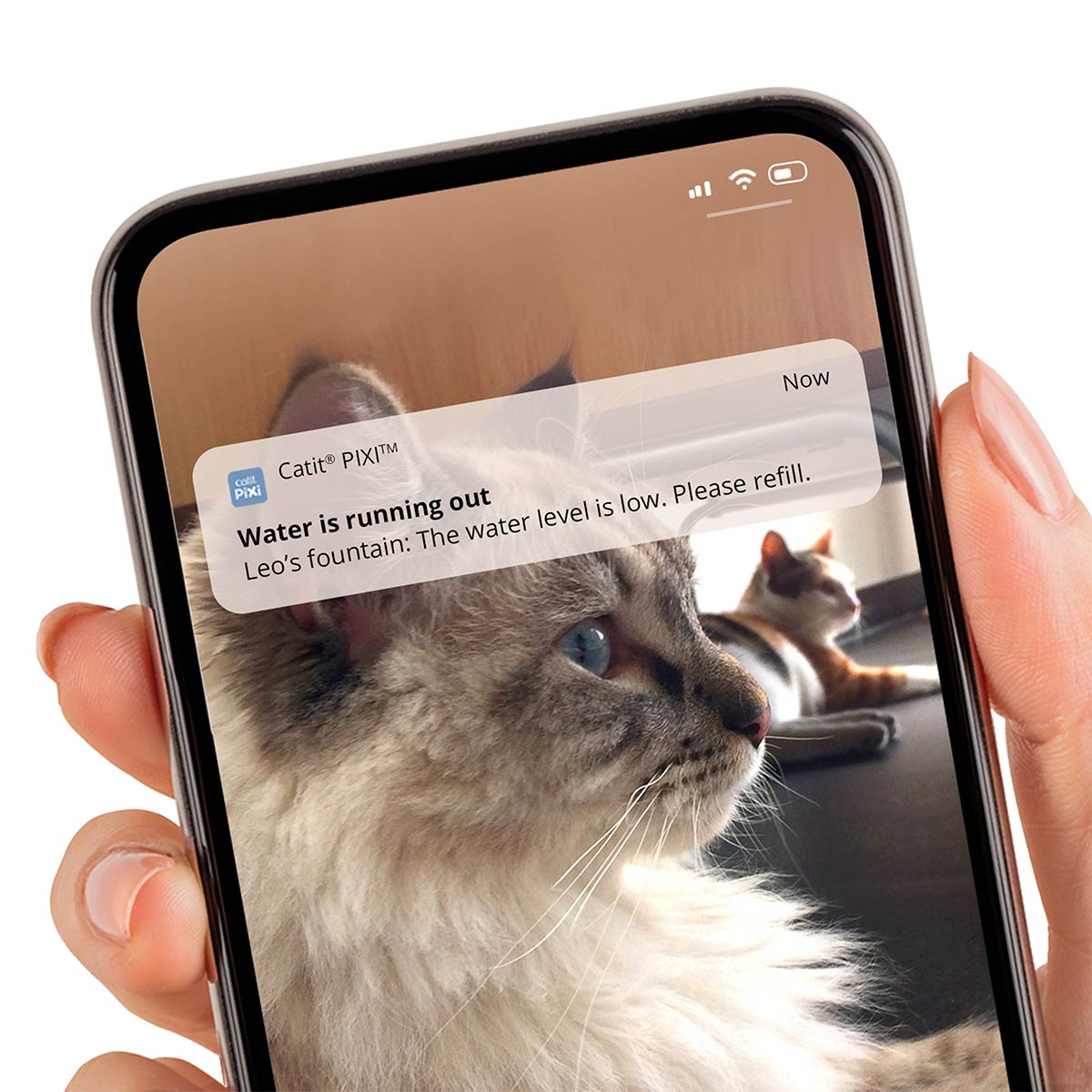 Catit Pixi Smart Trinkbrunnen günstig kaufen