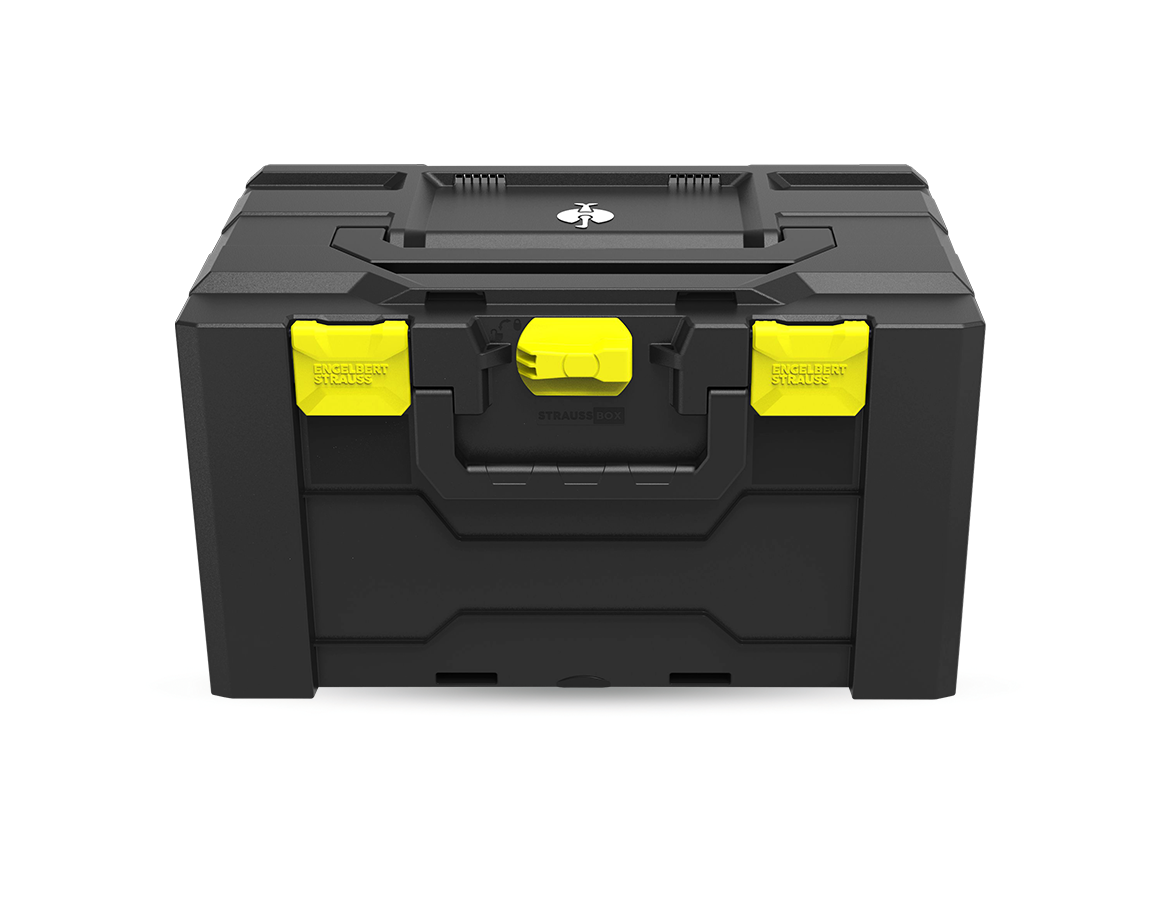STRAUSSbox 280 large Color