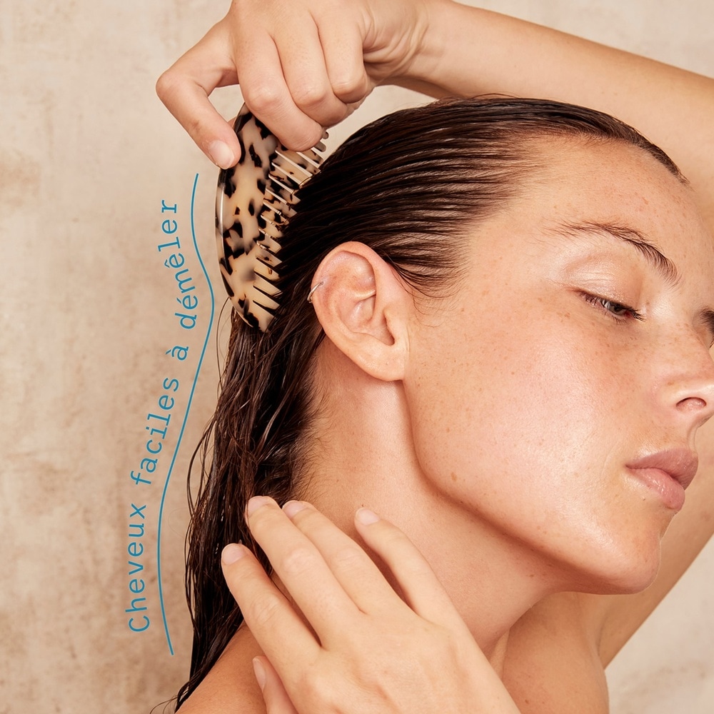beaudy Shampoing Solide Cheveux Secs - Huiles d'Avocat & d'Argan - 75g Shampoing Solide