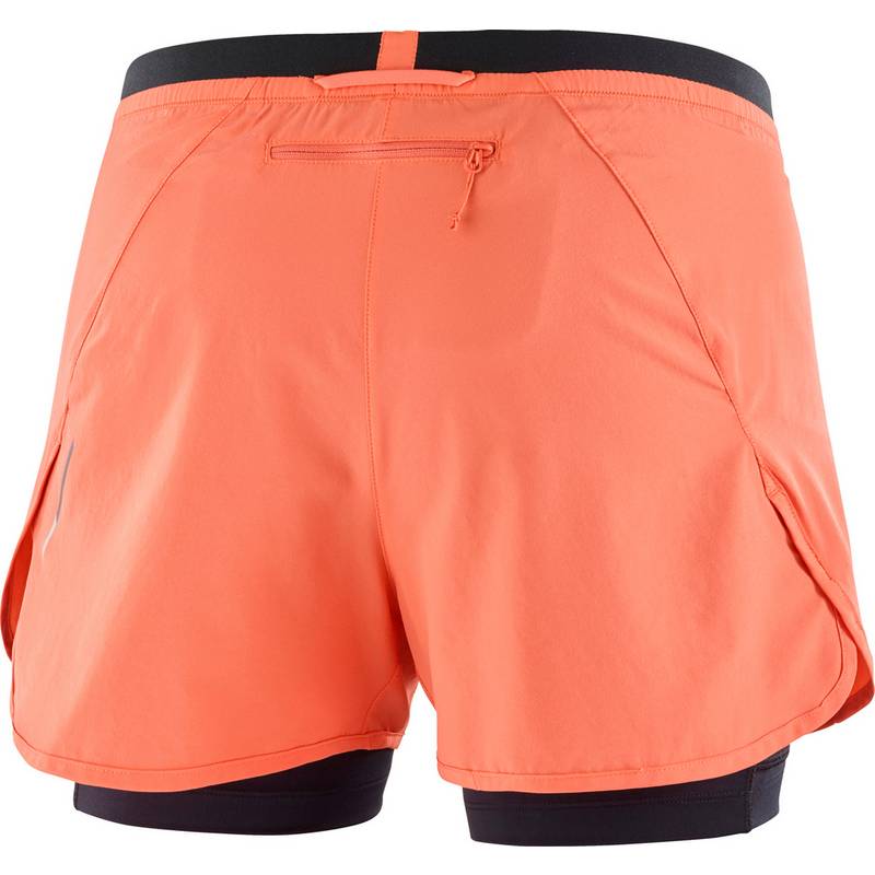 Salomon CROSS Funktionsshorts Damen