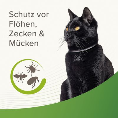 beaphar Reflektierendes Zecken- & Flohschutz-Halsband für Katzen