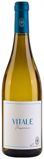 2022 VitaIe Marche IGP trocken Bio - Cantina Maroni