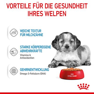 Royal Canin Medium Puppy in Soße