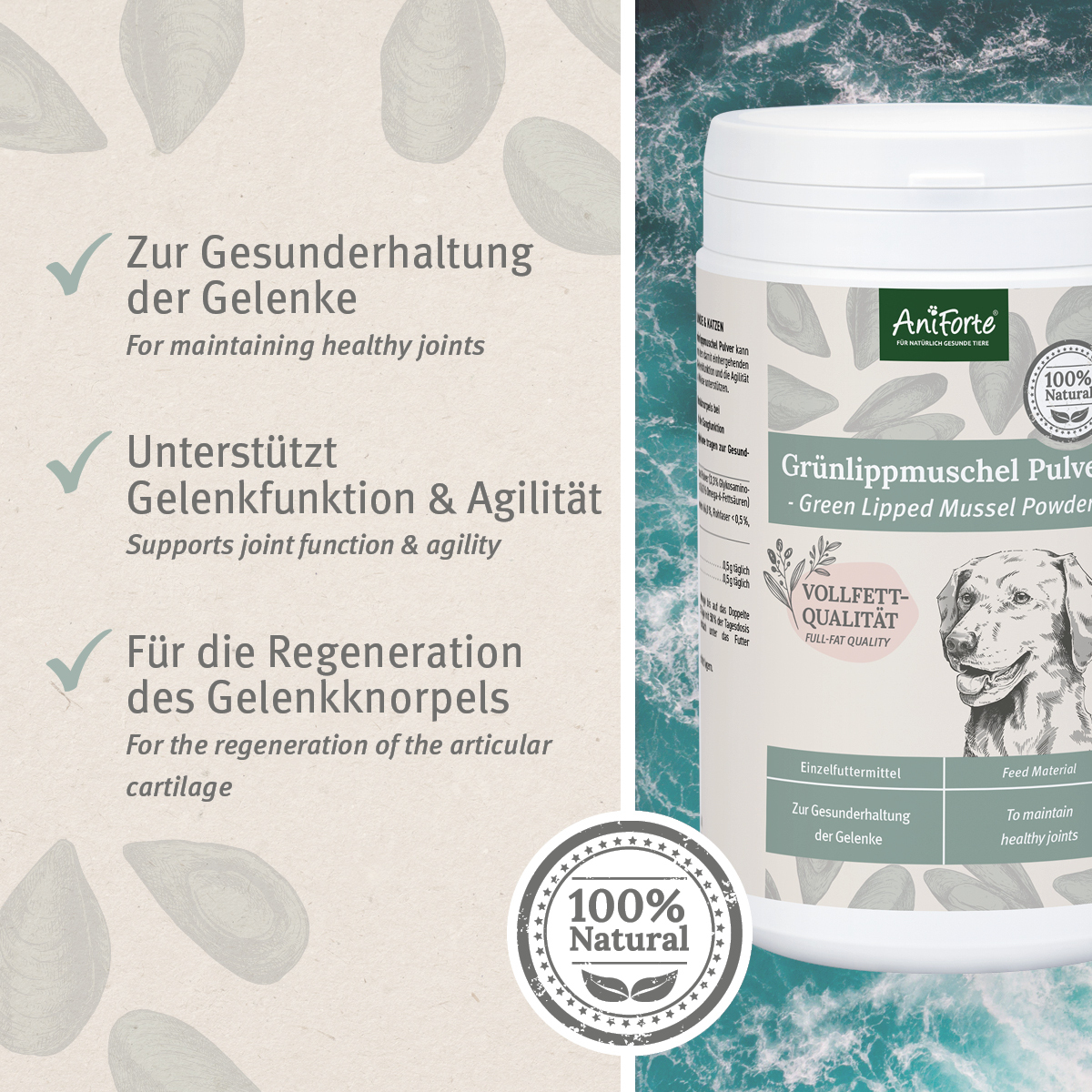 Aniforte Ergänzungsfutter & Aufzucht Aniforte Grünlippmuschelpulver Vollfettqualität 500 g