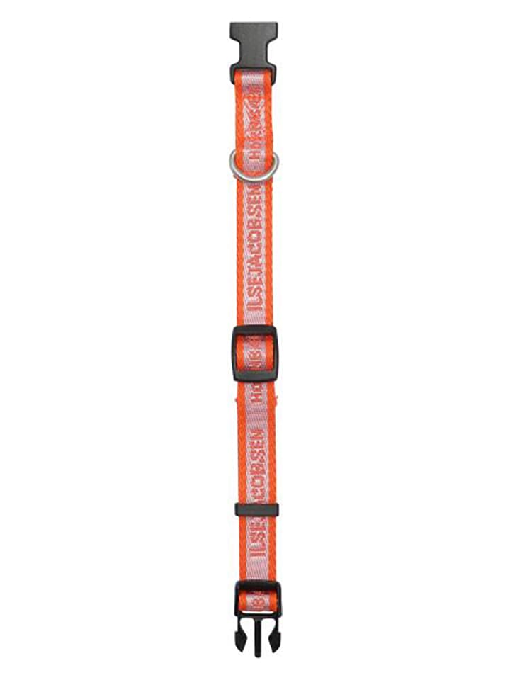 VOV & VUF Hundehalsband in Orange/ Lila günstig kaufen 28 cm