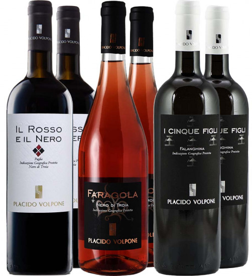 Placido Volpone Kennenlern-Paket - Placido Volpone
