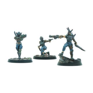 Fallout: Wasteland Warfare - Raiders: Disciples Leaders (EN)