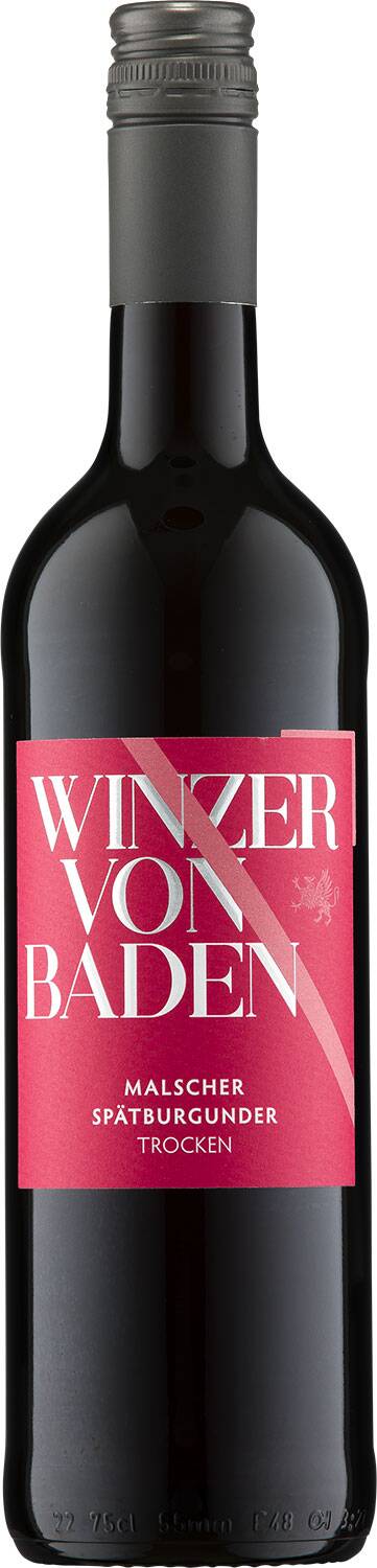 Winzer von Baden Malscher Spätburgunder 2022