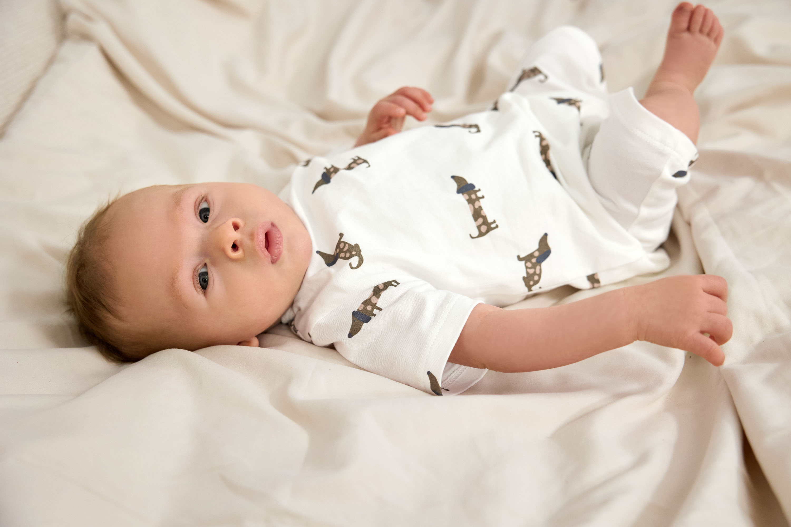 Kinder Pyjama Kurz - Bio Baumwolle, Hund Milky