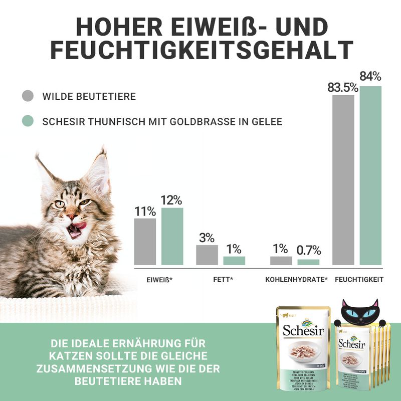 Sparpaket Schesir Jelly Pouch 24 x 85 g zu TOP-Preisen | bitiba %