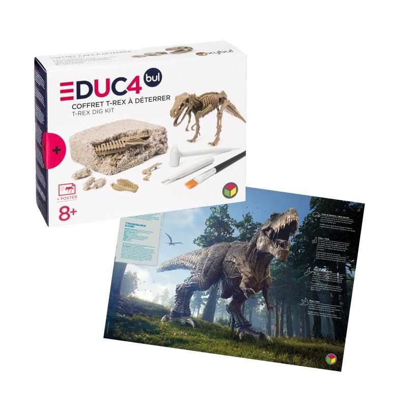 Coffret dinosaure T-rex à déterrer Oxybul