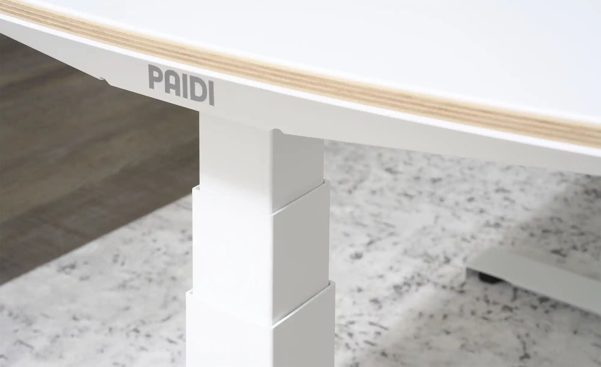 PAIDI Schreibtisch e-lion