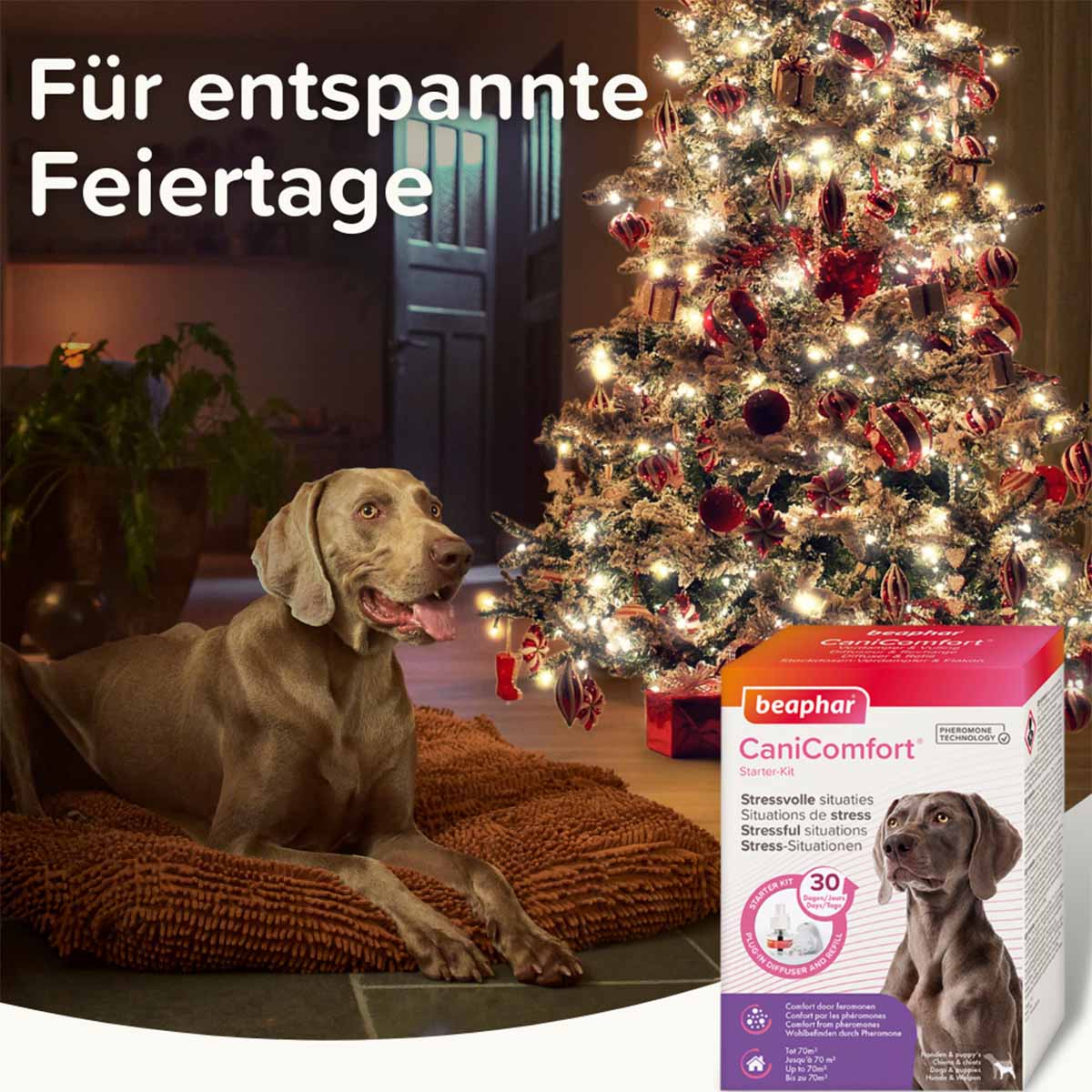 beaphar CaniComfort Starter-Kit für Hunde kaufen bei ZooRoyal