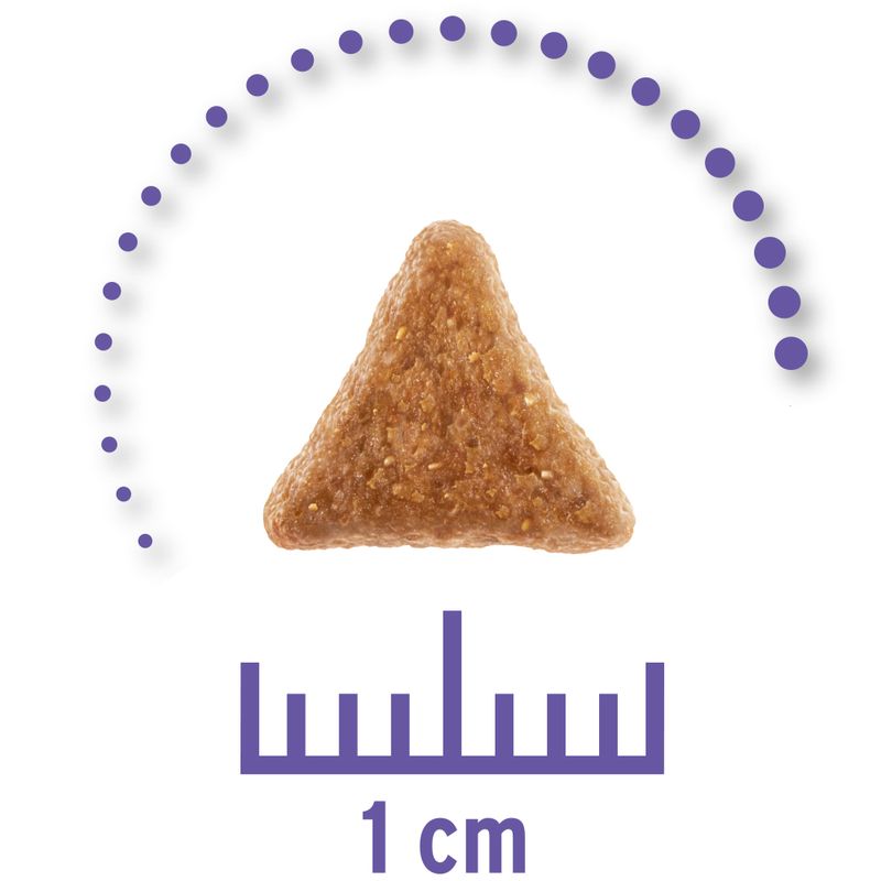 Sparpaket Concept for Life Veterinary Diet 2 x 10 kg | bitiba %