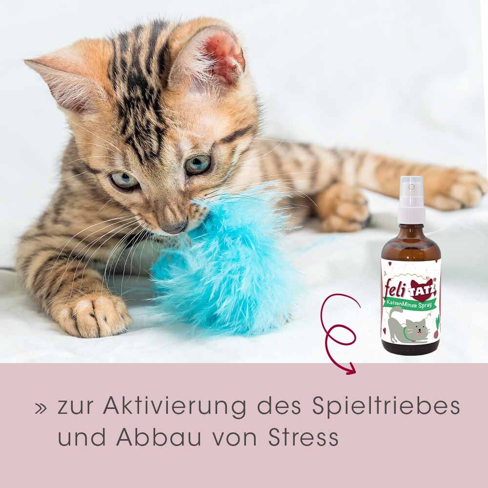 feliTATZ Baldrian & Catnipspielzeug feliTATZ KatzenMinze Spray