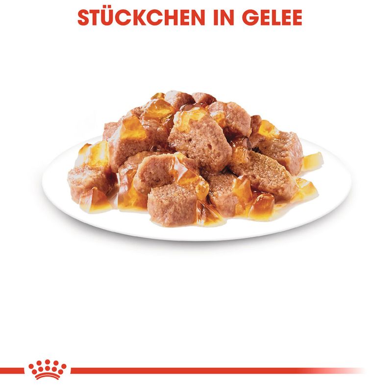 Royal Canin Instinctive in Gelee zu TOP-Preisen