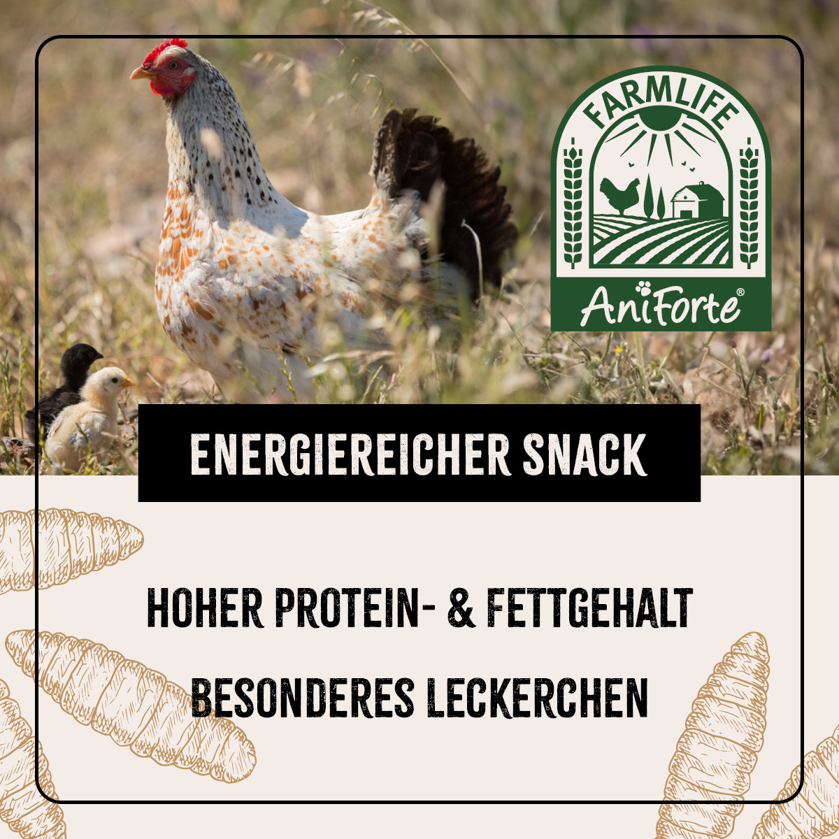 Aniforte Futter & Heu Aniforte FarmLife Soldatenfliegenlarven 800g