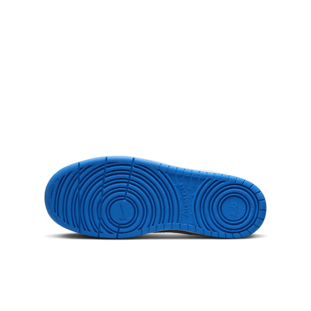 Nike Court Borough Low 2 BQ5448-019 / grau