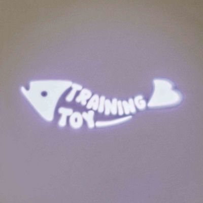 Trixie LED Pointer Catch the Light