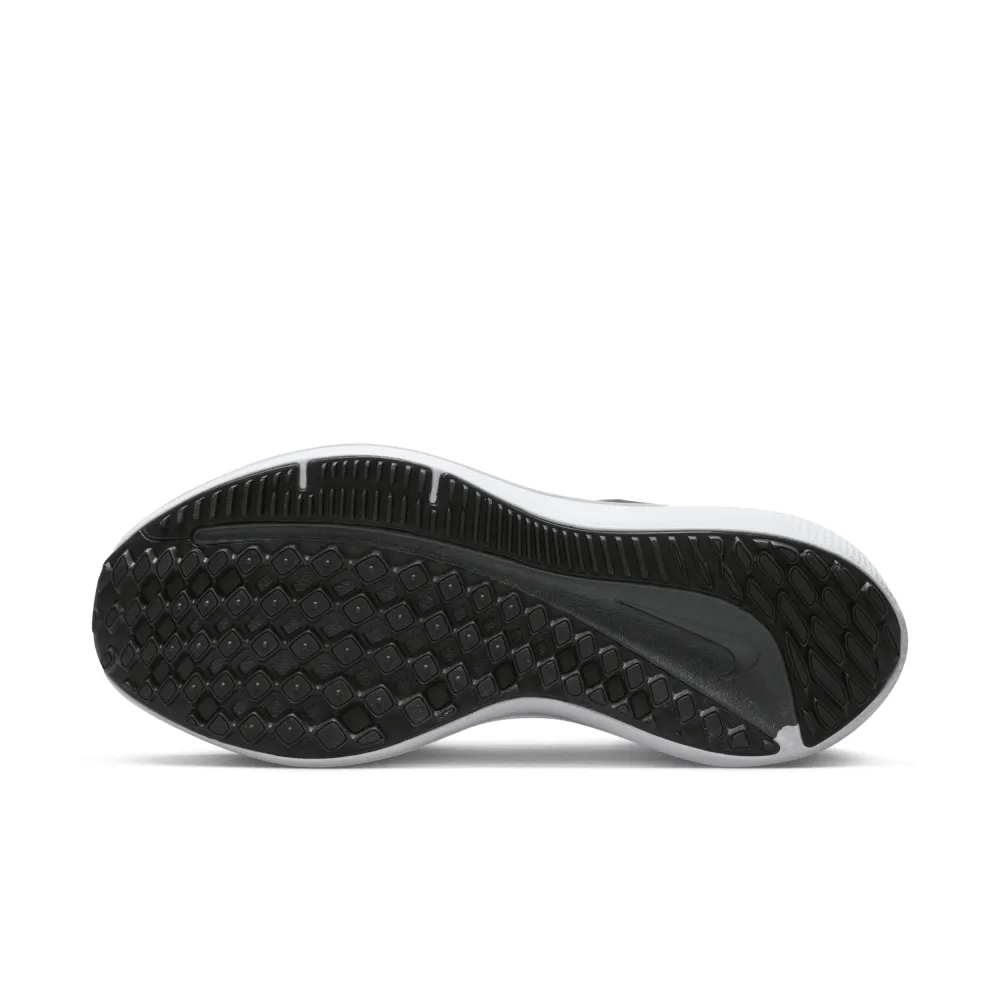 Nike Winflo 10 DV4023-005 / grau