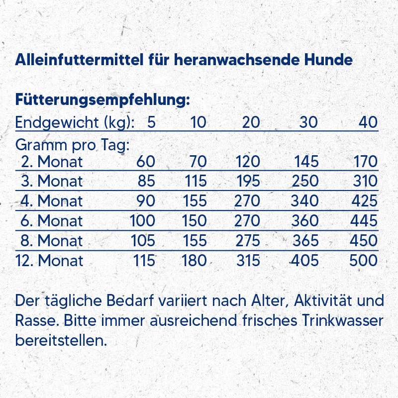 NutriQM M!eat Junior 5 x 1,4kg