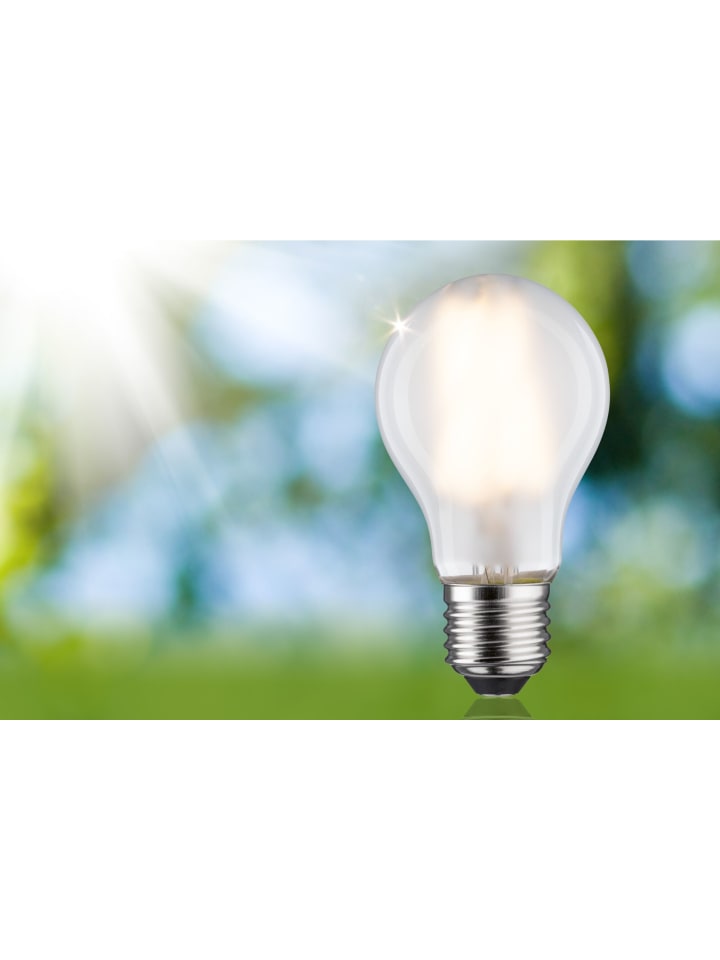 paulmann Eco-Line Filament 230V LED Birne 1er-Set A günstig kaufen onesize
