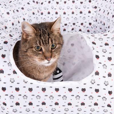 Katzentunnel Donut