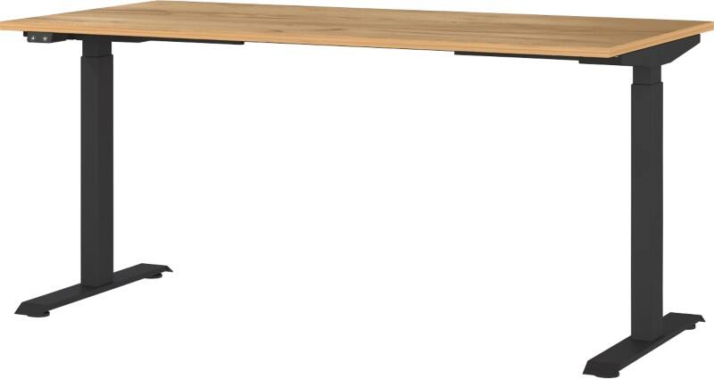 GERMANIA Sitz-Stehschreibtisch Metall, Spanplatte Eiche Schwarz T-Fuß 1.600 x 800 x 1.200 mm