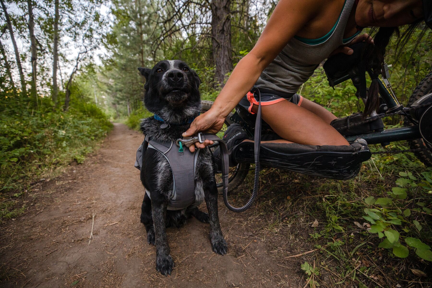 Ruffwear Hundeleinen Ruffwear Roamer™ Leine grau L