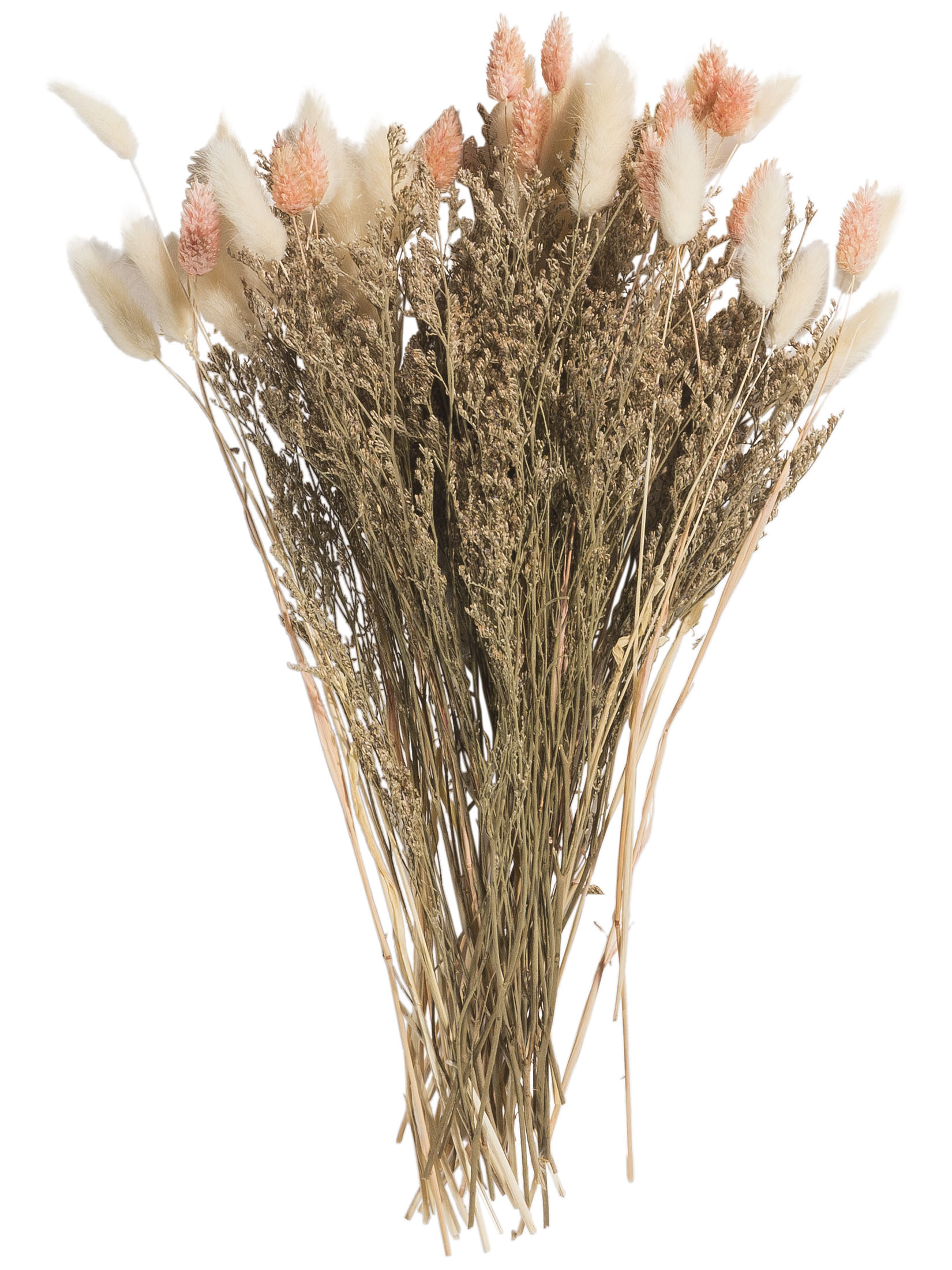 Flowerbouquet Trockenblume, Beige/Rosa
