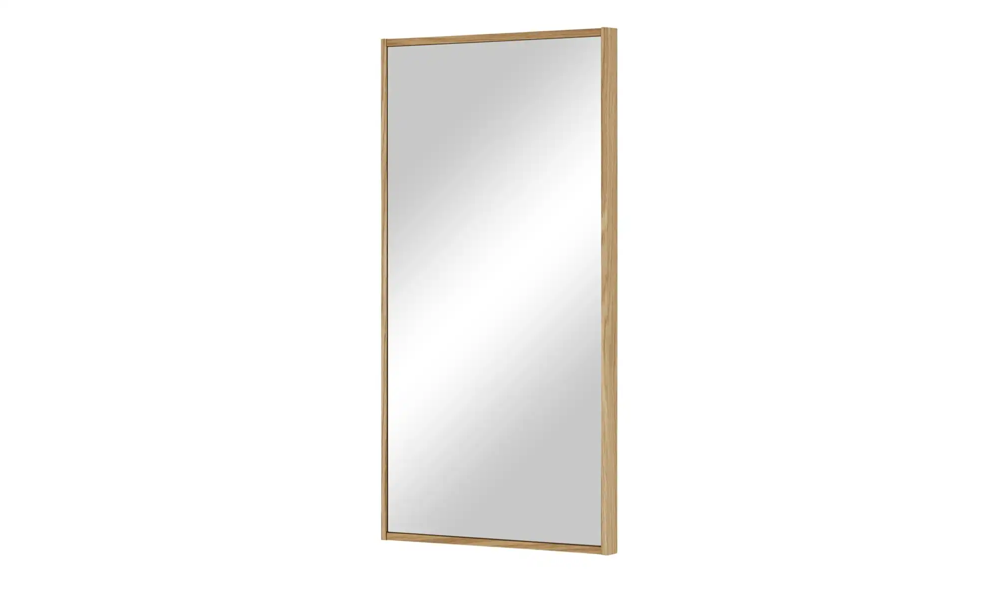 Spiegel 43 x 82 cm