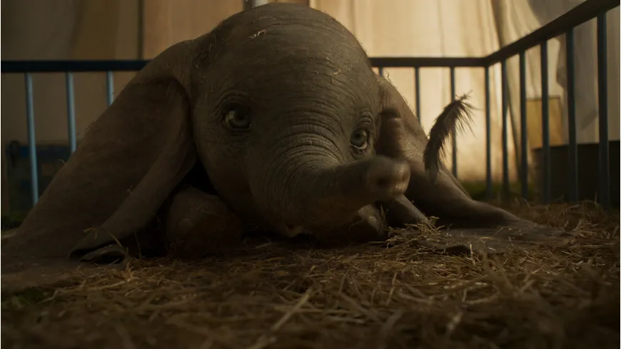Dumbo (Live-Action)