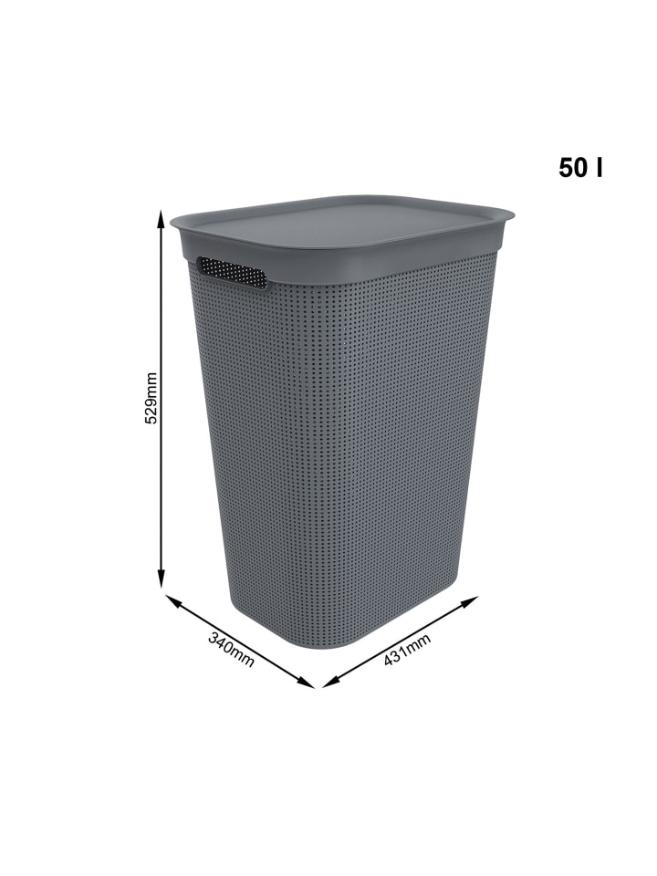 Rotho Brisen Wäschebox 50l mit Deckel und Griffe in Anthrazit günstig kaufen onesize