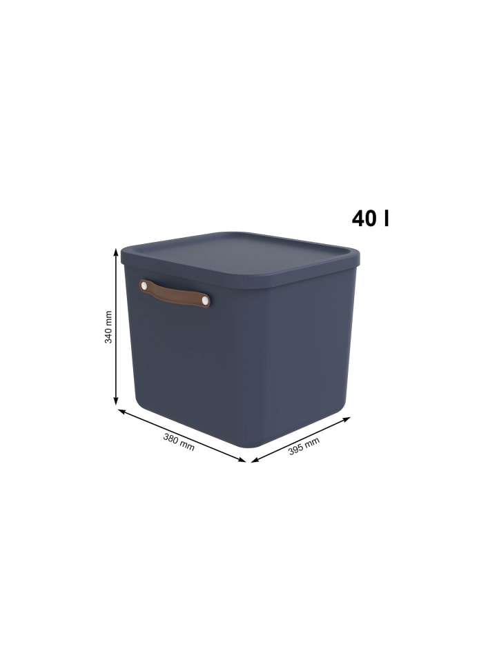 Rotho Aufbewahrungsbox mit Deckel 40 l MALOJA in Midnight blau günstig kaufen onesize